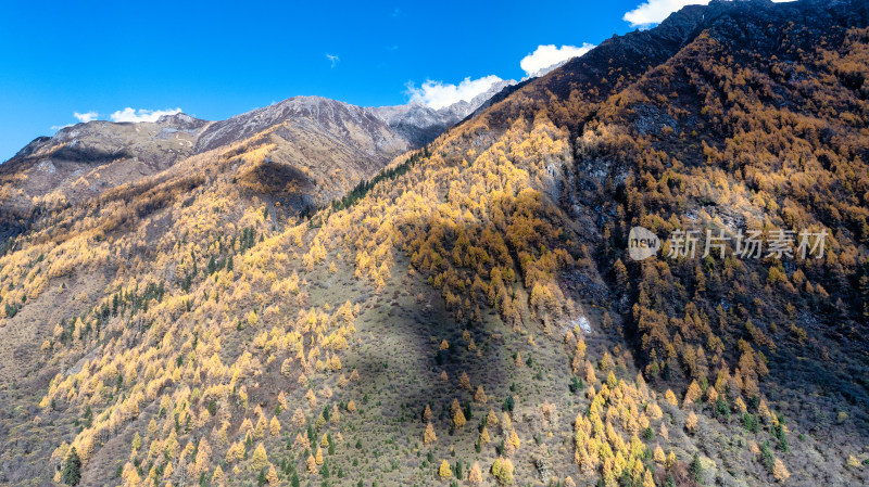 四川四姑娘山景区双桥沟秋天的山峰