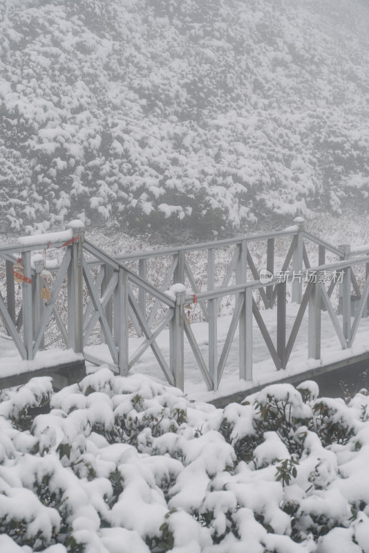 雪覆盖的桥与周边雪景