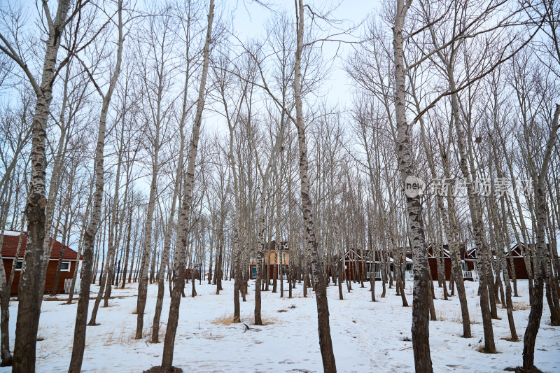 冰天雪地