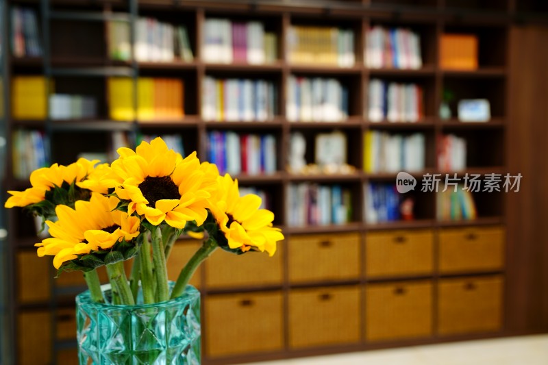 书房的向阳花