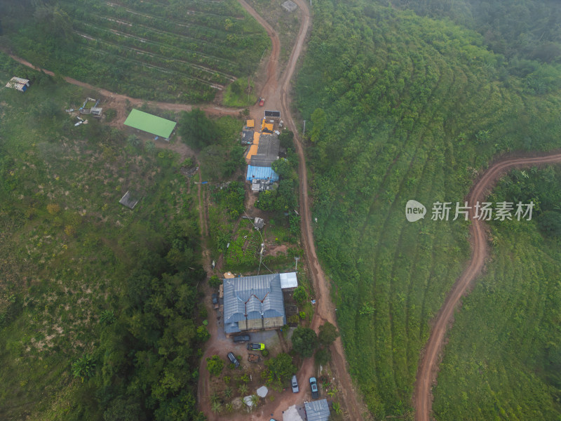 航拍视角下的丛林间越野车营地与植被景象