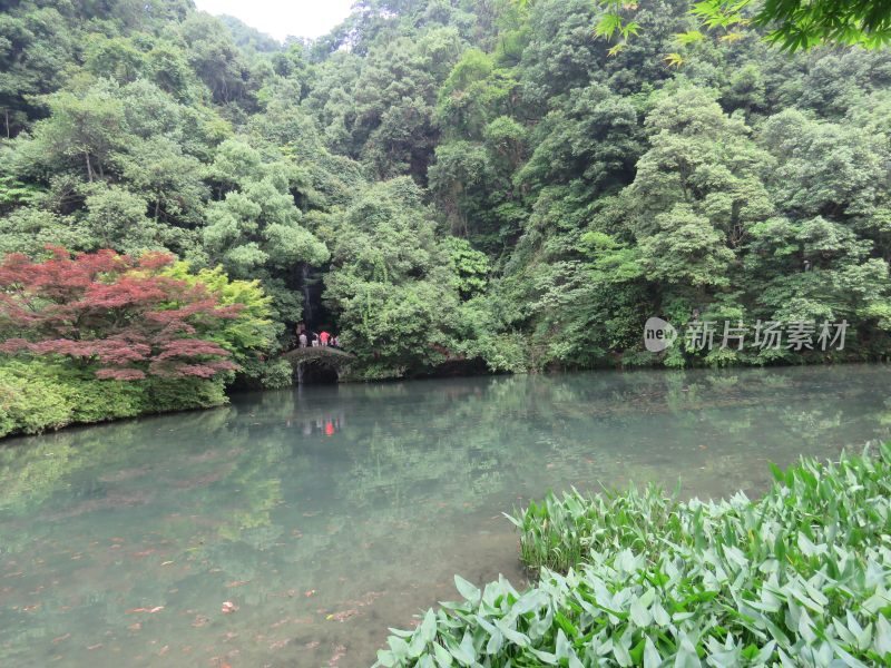 杭州九溪烟树景区