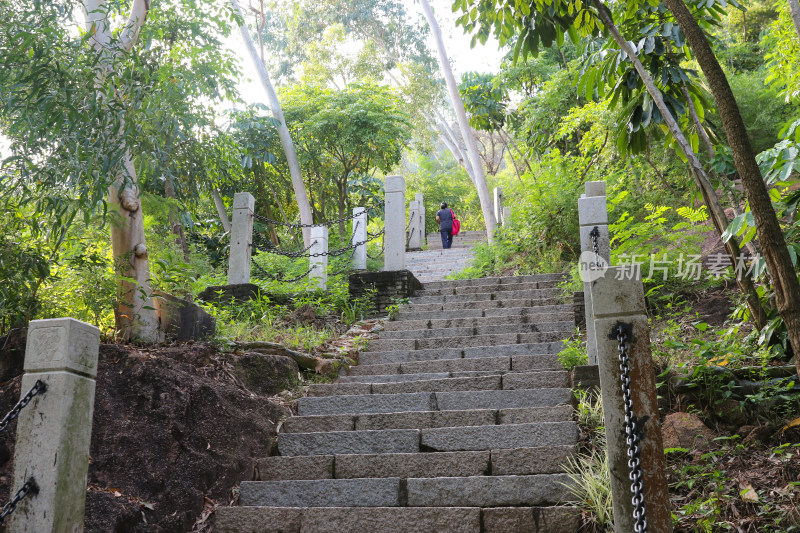 深圳南山公园景观