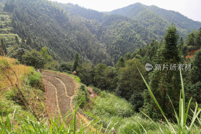 美丽山村梯田