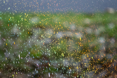 梦幻光斑雨