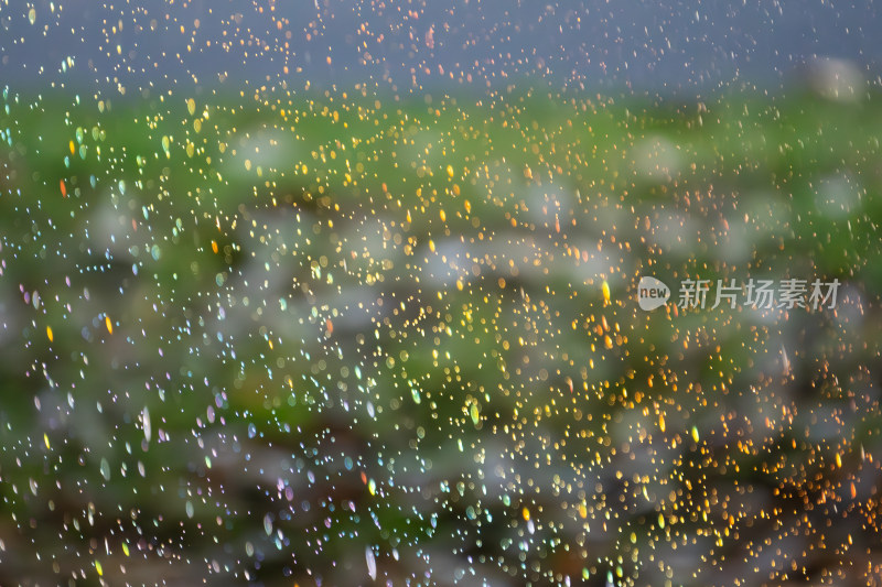 梦幻光斑雨