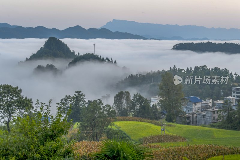 重庆酉阳：丁市初秋风景（二）