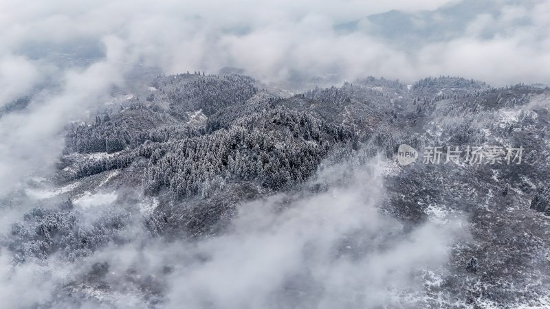 重庆酉阳：大雪纷飞赏雪忙