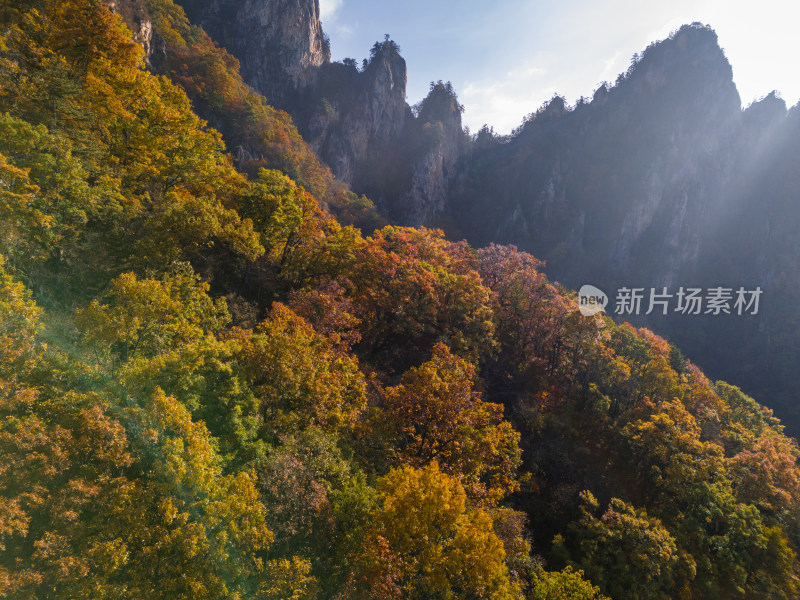 南阳老界岭伏牛山群山日出