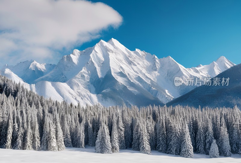 雪山高原森林风景