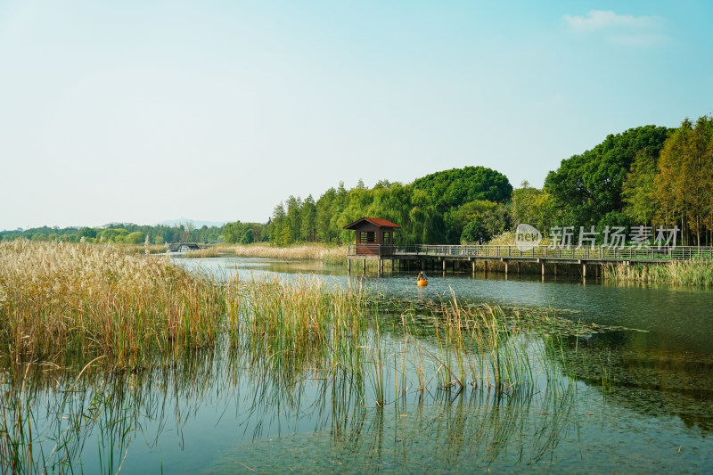 太湖湖滨国家湿地风光