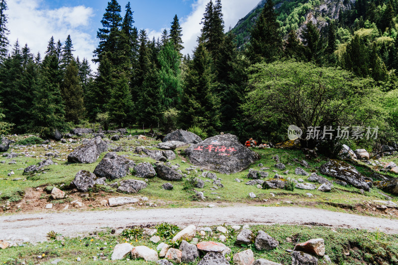 阿坝州四姑娘山长坪沟