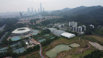 广东东莞：东城街道城市风光