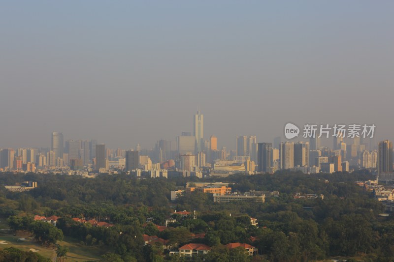 城市天际线与近景绿植景观