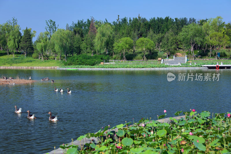 东营市泮水公园