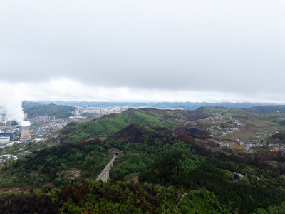 贵州毕节山火区域春天万物复苏