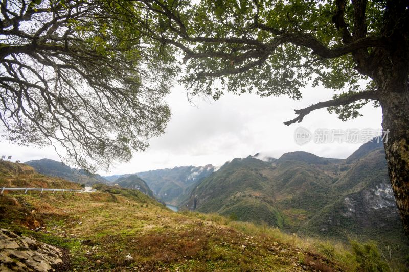 重庆酉阳：鹅儿老宅古村落