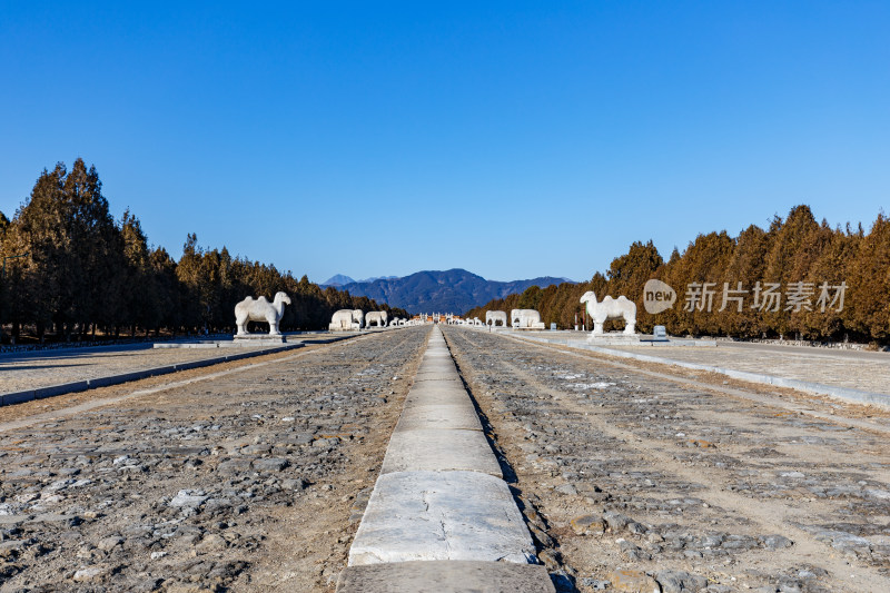 河北唐山市遵化清东陵孝陵神道及石像生