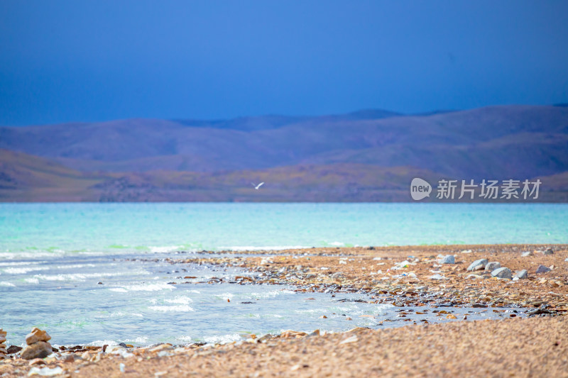 纳木措湖边清澈的湖水