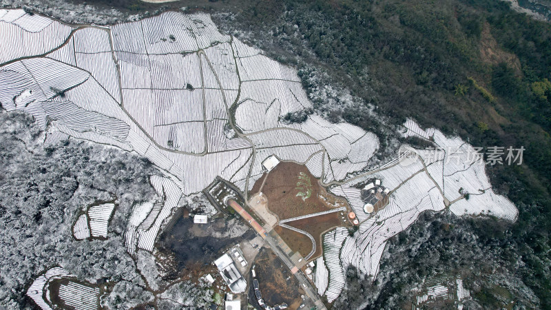 寒潮冬天下雪的大峡谷田野