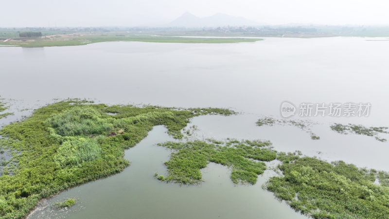 山东枣庄滕州市马河水库湿地风光