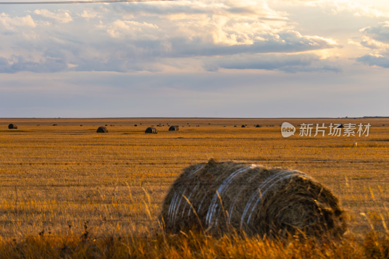 田野里的麦草堆