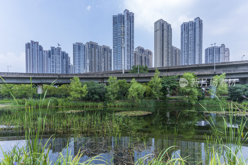 武汉青山区戴家湖公园风景