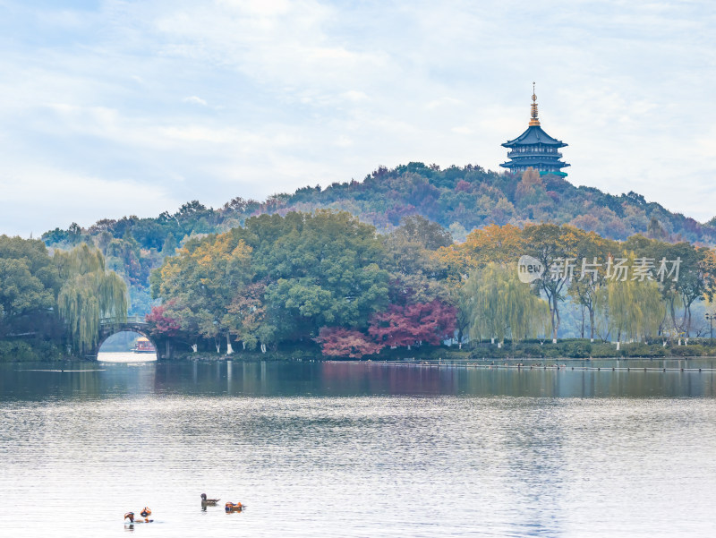 西湖景区雷峰塔与拱形桥