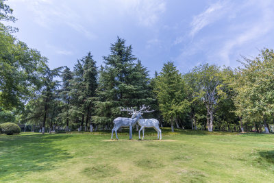 武汉江汉区后襄河公园风景