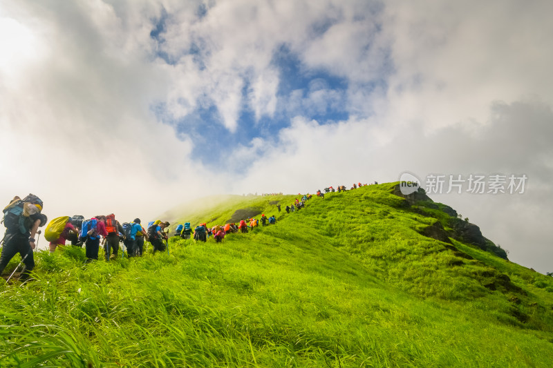 夏天江西武功山的高山草甸