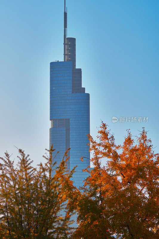 南京紫峰大厦