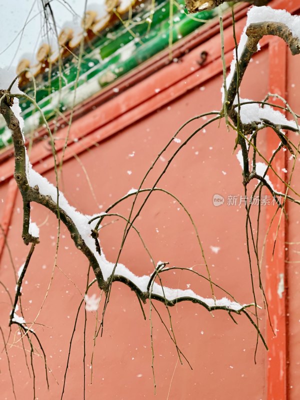 北京故宫/雪景/红墙