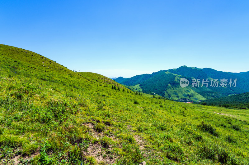 夏季蓝天白云绿色高山草甸群山大气风光