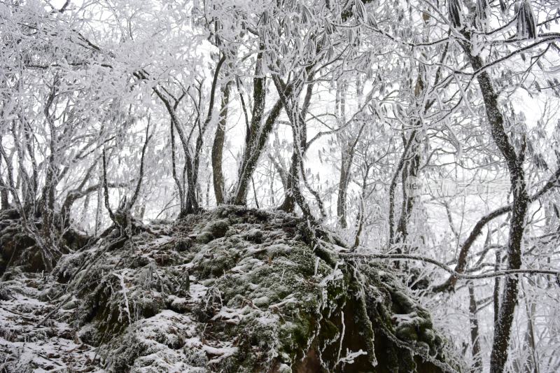 冬季雪景美景大雪