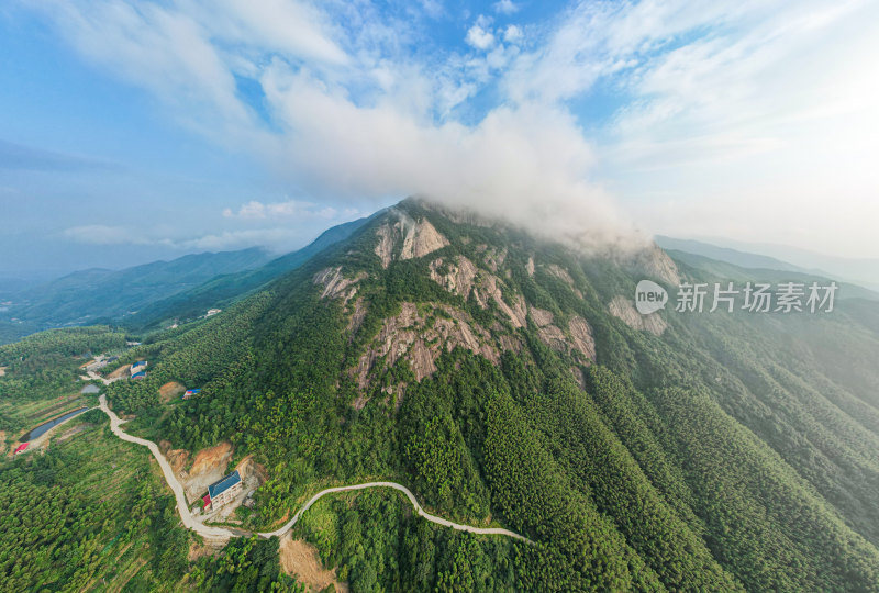 森林山峰