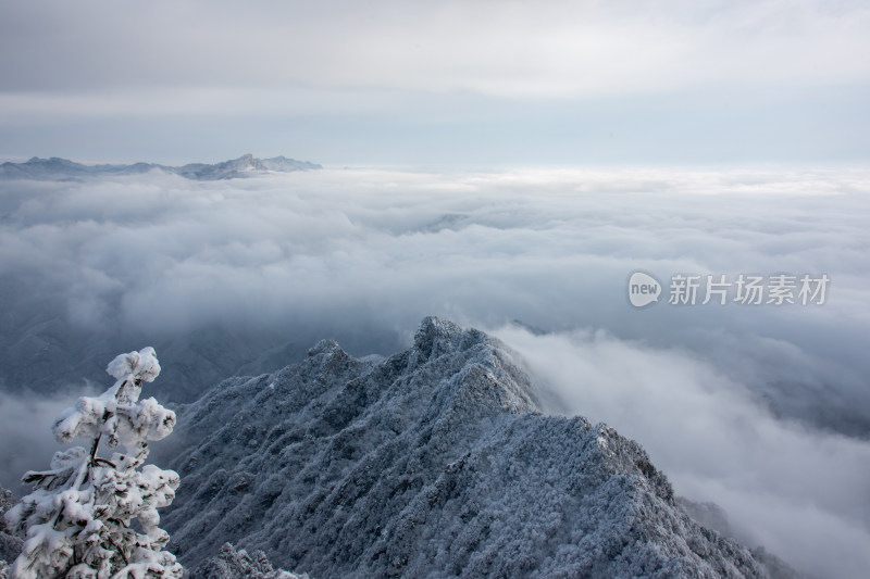 寒冷冬天洛阳老君山雪后美景航拍