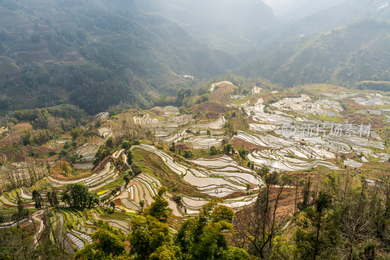 层层叠叠的元阳梯田景观