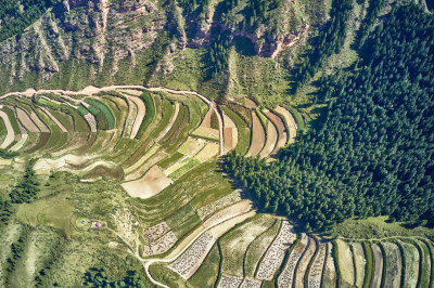 高山上的梯田