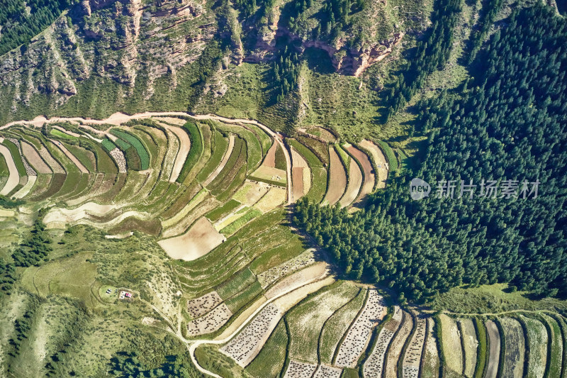 高山上的梯田