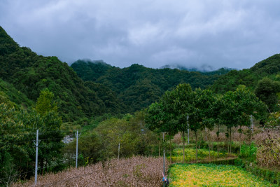 汉中留坝火烧店镇秦岭深处的山村田园风光