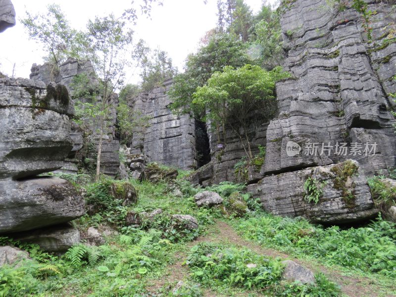 湖北恩施梭布垭石林旅游风光