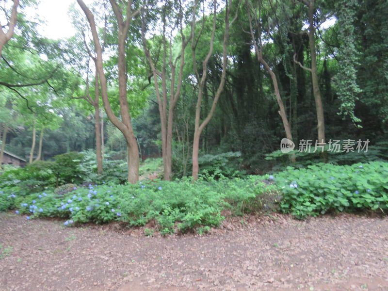 江苏无锡太湖鼋头渚风景区