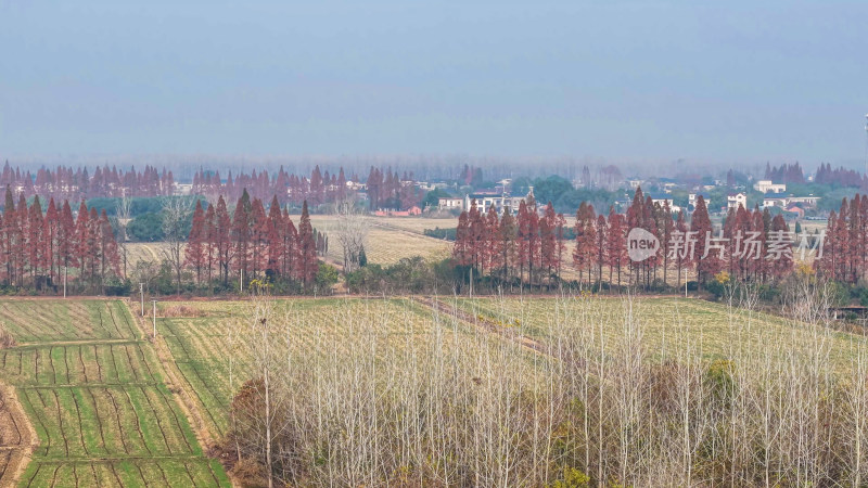 山村田园风光航拍全景