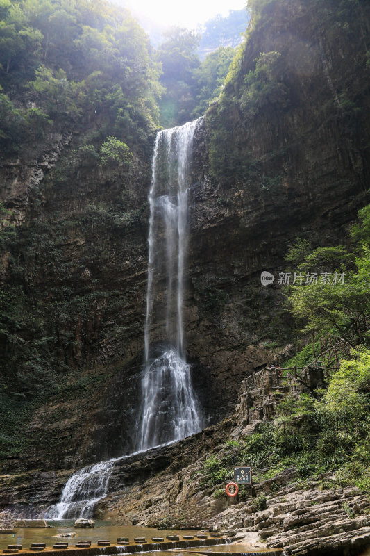 湖北宜昌三峡竹海风景区，自然风光，竹海