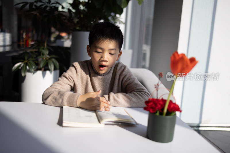 正在看书的中国小男孩