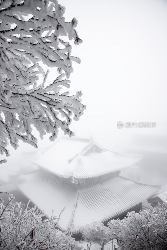 寒冷冬天大雪迷雾中的老君山