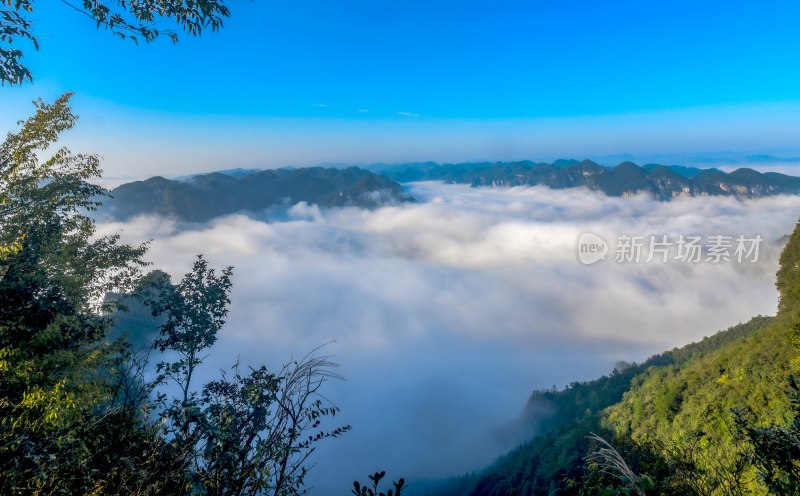 重庆酉阳：乌江青山白纱俏