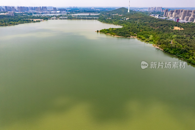 蚌埠城市绿化植物航拍图