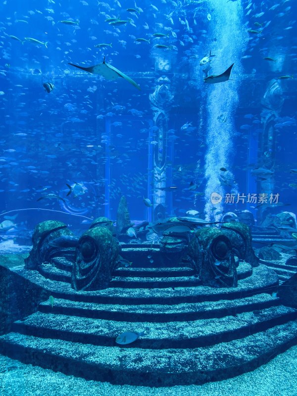 海南省三亚亚特兰蒂斯酒店的水族馆