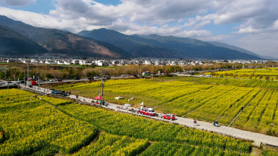 油菜花田与山